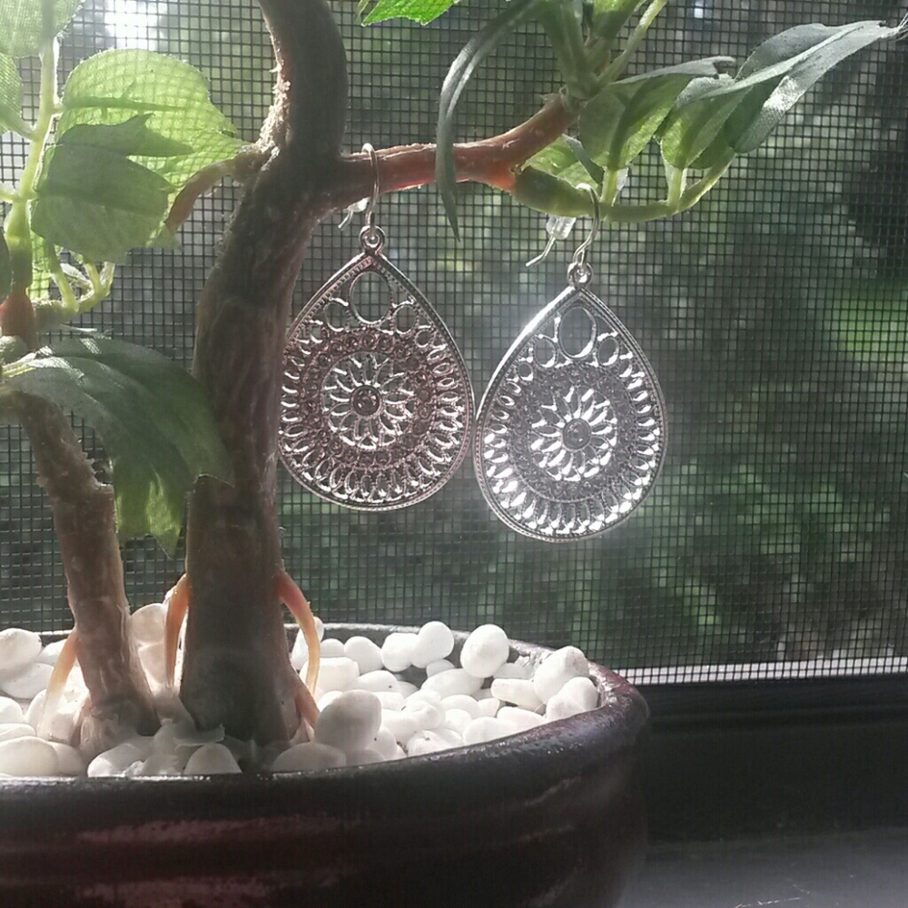 *NWOT* Silver Hypo-allergenic CZ Drop Earrings